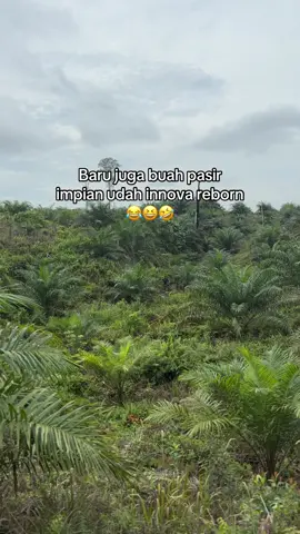 #fyp #petanisawit🌴 