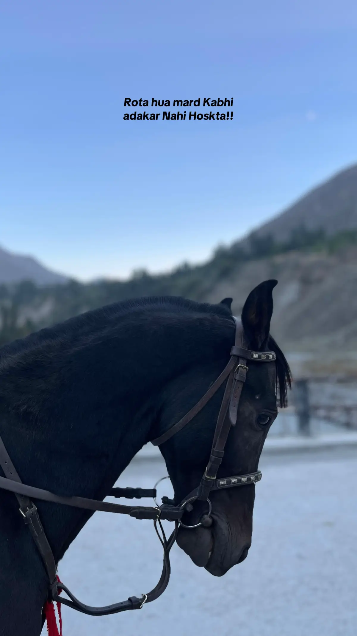 #foryoupage #fyp #foryou #unfrezzmyaccount #unfreezed_my_id_tiktok 