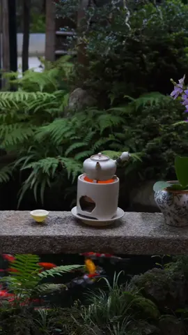 Từ từ pha trà, nhẹ nhàng ngâm trà #trà #đạotrà #tràđạo 