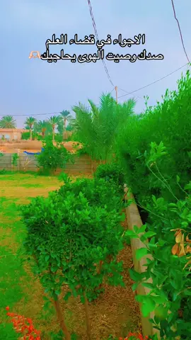 #صلاح_الدين #الجبور_وعز_الجبور #🦅 