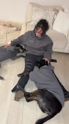 Matching my two besties! #comfrt #dogmom #dogsoftiktok #wlw #lesbiansoftiktok 