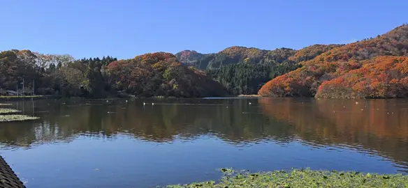 Nếu hạnh phúc khó quá thì thôi ta chọn bình yên☘️