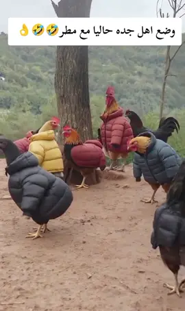 #متابعه_ولايك_واكسبلور_فضلا_ليس_امر #🤣🤣🤣🤭🤭🤭🤪🤪🤪 