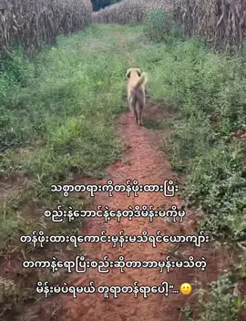 #😎 #fypppppppppppppppppppppp #fypシ゚ #fypage #စာသား 