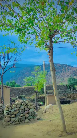 #mohmand #foryou #page💯🥀🍂☠️🍁👑🥀 #Younas #ppppppppppppppppppppppppppppppppp @🧿 NO NAME 🧿 