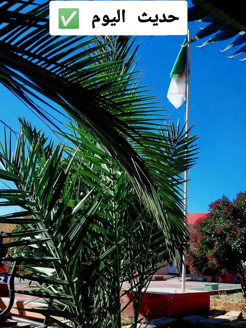 عن ابنِ عمرَ قال: كنَّا إذا فقدنا الإنسان في صلاةِ الصُّبحِ والعشاءِ ؛ أسأنا به الظَّنَّ الراوي : - | المحدث : الألباني | المصدر : صحيح الموارد الصفحة أو الرقم: 364 | خلاصة حكم المحدث : صحيح التخريج : أخرجه ابن خزيمة (1485)، وابن حبان (2099) واللفظ له، والطبراني (12/271) (13085) الصَّلاةُ هي رُكنُ الإسلامِ الأعظمُ بعدَ الشَّهادتَينِ، ولها فَضْلٌ عظيمٌ، والمُحافظةُ عليها شِعارُ كلِّ مُسلِمٍ مُؤمنٍ، لا سيَّما صَلاةُ الصُّبحِ والعِشاءِ؛ لأنَّهما مِن أثقلِ الصَّلاةِ على المنافقِينَ. وفي هذا الحديثِ يَقولُ عبدُ اللهِ بنُ عمَرَ رضِيَ اللهُ عنهما: 