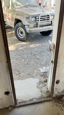 شاص 2001 ##   كف العروس 