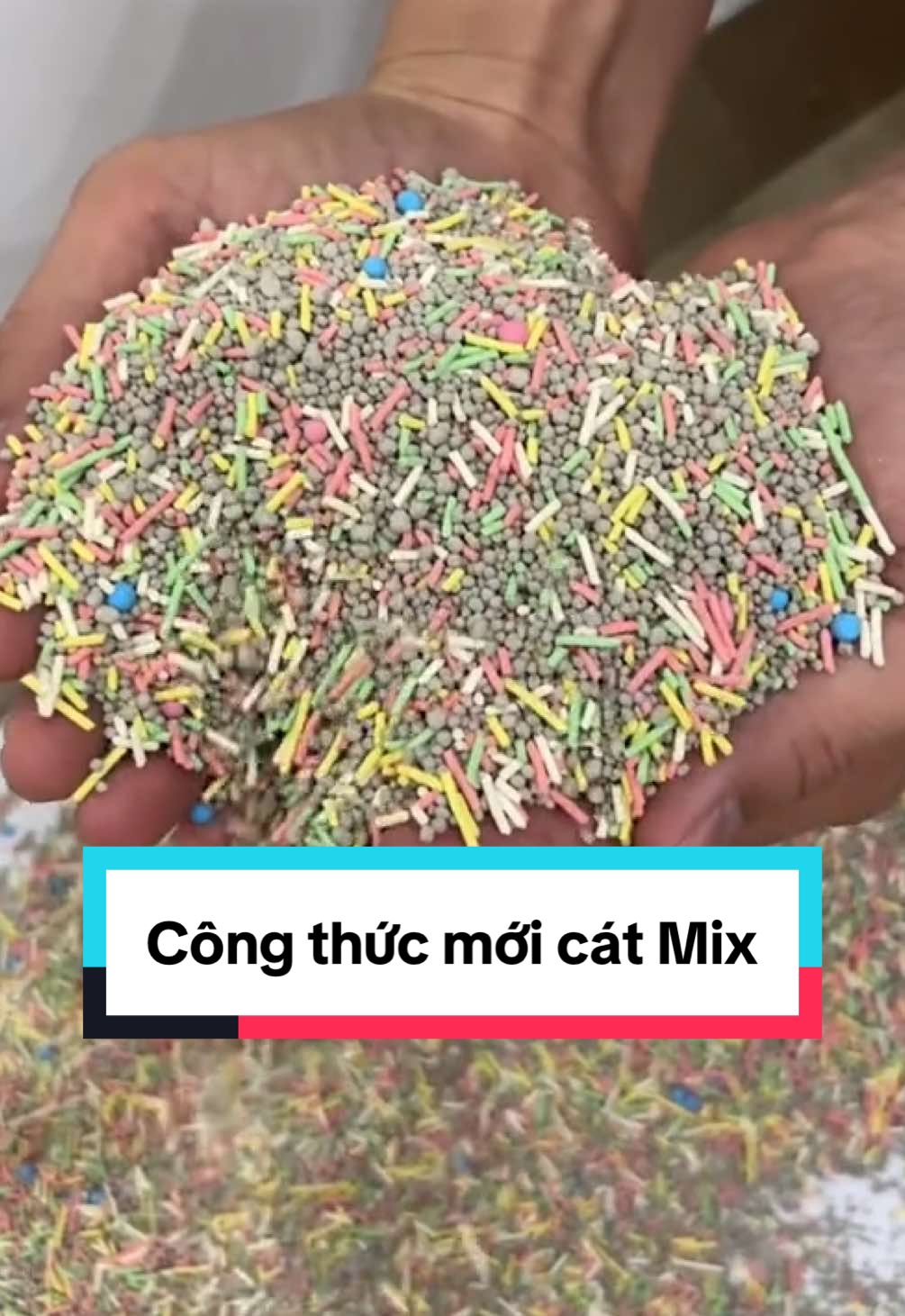 Cát Mix vừa có hương mới vừa có công thức mới lun nhaaaa #catmix #cat #petchoice 