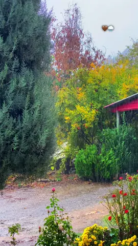 🤎🌧️🫠…#fypシ #viral #tiktok #foryou #selwa🦋 