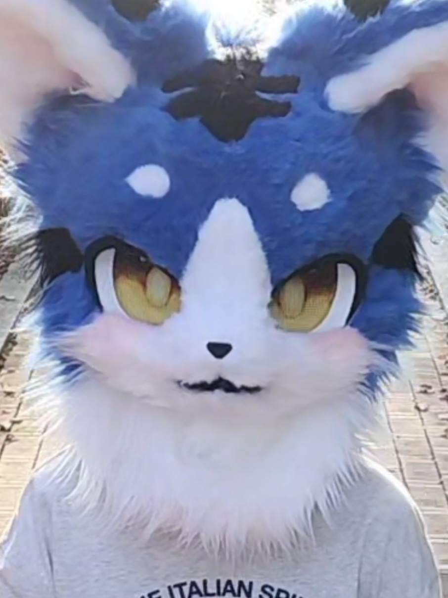 꼬리 만들었어요!! #fursuit #퍼슈트 #퍼슈터#퍼슈터분들친해져요 #추천 