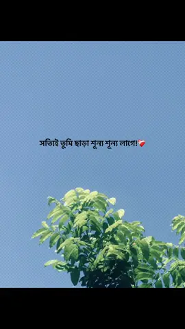 😅💔 #foryou #banglacaption #sadcaption #emotionalvideo #fyp 