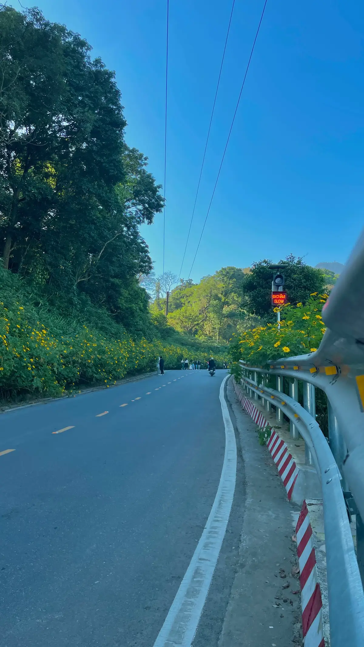 Đi làm cả năm dài mới được một ngày thư giãn với Ba Vì #xuhuong #bavi 