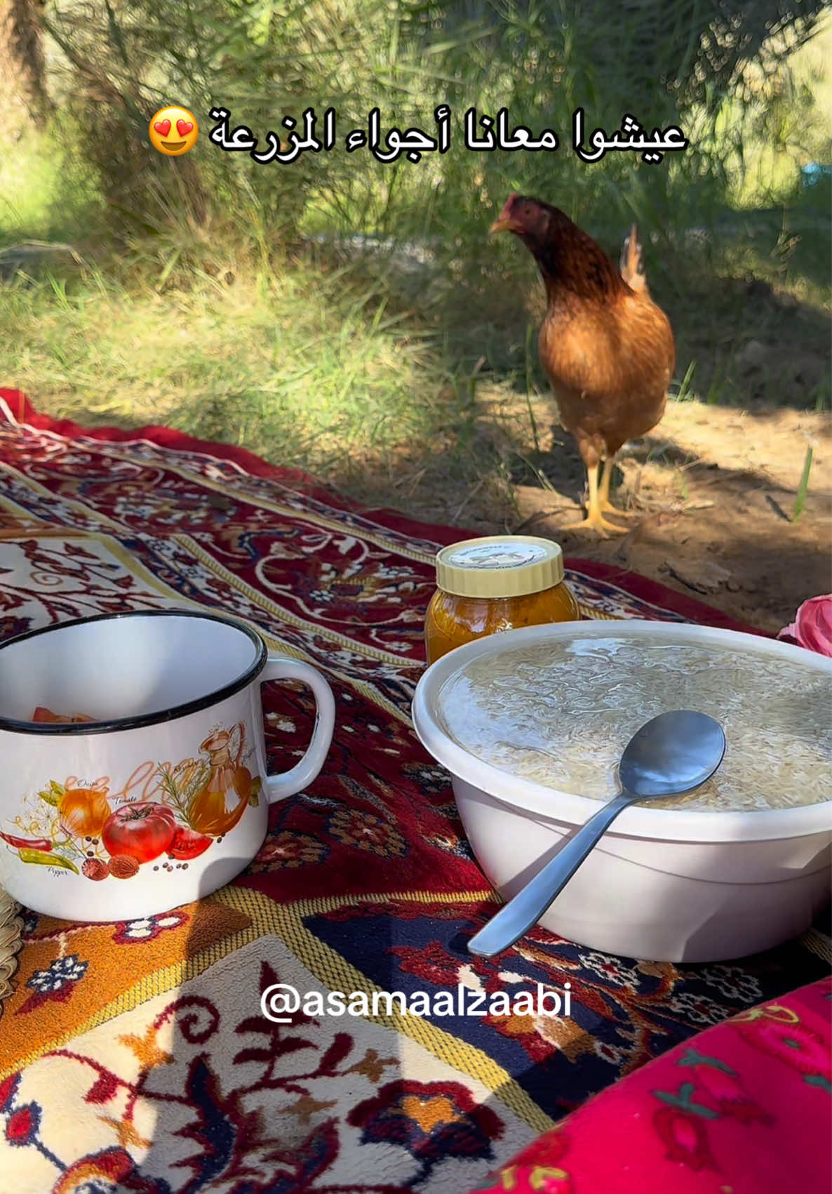 عيشوا معانا اجواء الويكند ❤️ مجبوس دياي❤️‍🔥 منتجاتنا اللي استخدمتها ✨ 📍(اجار / البهارات السبعه/ بهار الكاري/ سمن/ بهار السلطة/ كركم)  تتبيلة الدجاج✨ - اول شي غسلت ٣ ديايات عدل وتبلتهم ببهاراتنا  لطلب منتجاتنا تقدرون تطلبونهم عن طريق الرابط فالبايو ( خل / كركم/ البهارات السبعه/ بهار الكاري/ ملح)  - طريقة تحضير المجبوس✨ - اول شي حطيت وزيت ودهنه بعدها حطيت البهارات الصحيحه من تتحمر ضفت ٥ بصلات مقطعه صغار من يتحمر البصل حطيت قرون فلفل وليمون اسود  - ضفت الدياي المتبل ونخليه لين يحمر او ياخذ لون  - بعدها ضفت شوية طماط وبقدونس وكزبره وبصل اخصر  - من تبدي الخضرا تذبل اضيف شوية ماي عشان تتسبك وتتجانس المكونات  - بعدها اضيف باقي كمية الماي واخليه ياخذ فورتين واحط العيش واخلي مستوى الماي ١ سم مرتفع عن العيش والغطا مفتوه من ينشف الماي ويستوي مثل مستوى العيش اسكر عليه ٢٥ دقيقة وبالعافية. - ناكل العيش مع سلطة الروب والبصل (بصل/ روب/ شرائح فلفل/ بقدونس/ نعناع / عصرة ليمون/ ورشة من بهارات سلطة امي متوفره فالموقع ظروري تجربونها مع جميع انواع السلطات رهيبه..  #دبي #اسماء_الزعابي #مجبوس #طبخ