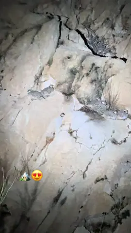 #🏔️🌿😍🐐 