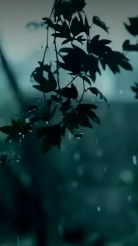 الصمت في بعض المواقف فضيلة💛❤️ ‏Sometimes silence is better than    any  other reaction #تصاميمي #اغنية #تركيا #مطر #شتاء 