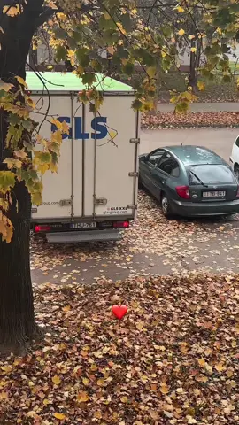 De nagyon vártalak😫 #fyp #neked #legyenforyou 