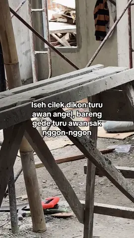 Hoalah koyo wong ra kanggo cah² 🤦. #kuli #kulibangunan #kuliproyek 
