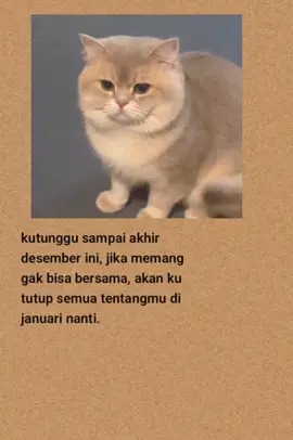 #katakatasedih #katakatabijak #fyp #viral #laguindia 