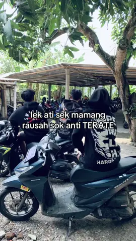 SIDONE ANTI KIREK OPO ANTI TERATE😫#sweeper21allbase #phdsragen #selatanbukanlodoang 