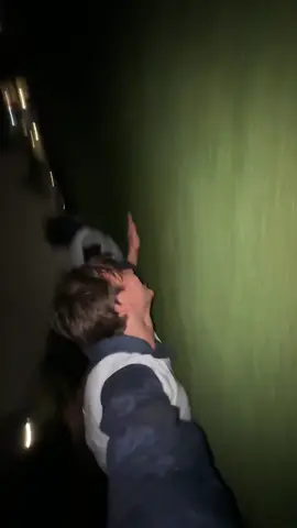 focus. speed. i. am. speed. 