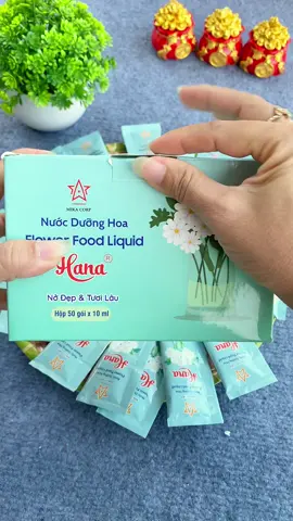 Nước dưỡng hoa hana giữ hoa nở đều nở đẹp và lâu tàn #duonghoahana #nuocduonghoa #nuocduonghoahana #review #xuhuong  @nguyendung0390  @nguyendung0390  @nguyendung0390 