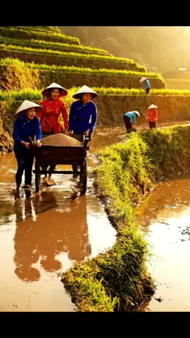 #giayantopgia #tiktokshop 