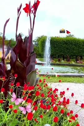 #CapCut #عاشقة_الورد #. صباح الفل والورد والياسمين