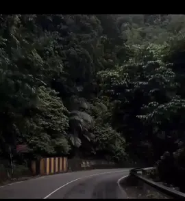 Ae Mere Humsafar👀 . . . #fyp #foryou #explore #viral #song 