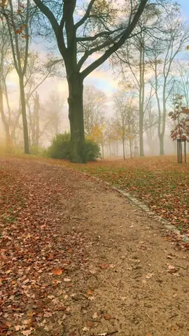 Spaziergang Sonntags 💕🫶