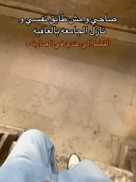 علي الصبح كداا😂😂😂😂😂😂😂😂😂😂😂😂❤️ #foryou #huuddzz🌟 #fppppppppppppppppppp #foryou 