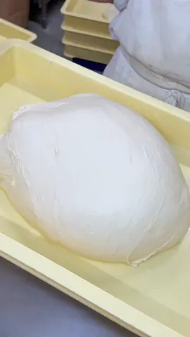 北海道産牛乳を使って食パン生地を作ります🍞 嵜本ベーカリーのミルクバター食パンは、中種製法と湯種製法を採用して作る、みみまでふわふわの食パンです☺️ はちみつや北海道産の乳製品にこだわって作るパン生地は、もちもちぷるぷる！ We make our bread dough using Hokkaido milk 🍞 Sakimoto Bakery’s Milk Butter Bread is made using both the pre-ferment method and the yudane (scalded flour) method, resulting in an incredibly fluffy loaf all the way to the crust.☺️ The dough is crafted with care, using honey and Hokkaido dairy products, giving it a wonderfully soft, chewy, and moist texture! ────────────────── 最後までご覧頂きありがとうございます🍞 パン屋さんの裏側を投稿中です！ YouTubeのチャンネル登録もお願いします☺️ Thank you for watching until the end 🍞 We're posting behind-the-scenes footage from our bakery! Please subscribe to our YouTube channel ☺️ ────────────────── 📍嵜本ベーカリー 大阪初號本店 🏠大阪府大阪市浪速区難波中2丁目3-18 2-3-18 Namba-naka, Naniwa-ku, Osaka City, Osaka Prefecture ⏱9:30~19:00 #パン作り #パン屋 #食パン #shokupan  #japanesefood