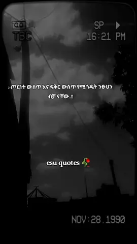 ንፁሀን ናቸው #fyp #copylink #follow #quotes 