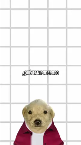 síganme para más videos así #fyp #humor #historia #terror #viral 