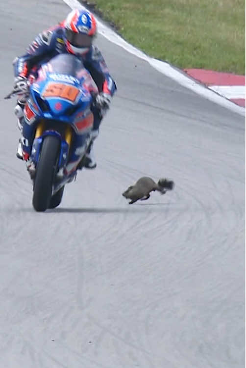 Wait until the end#rider#racing#sports#contest#racing 