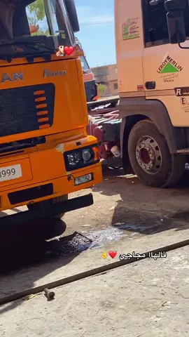 #الشعب_الصيني_ماله_حل😂😂 