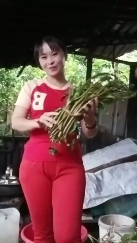 #caolanhdongthap66 #2025tiktok  phường  Mỹ  trà 