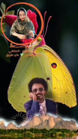 # زيدان- إبراهيم- اسحاق- الحلنقي  فراش- القاش-  الحان- خالده  #عابر- طريق #اعادة نشر - لائك - متابعه #السعوديه- مصر -الامارات المانيا- فرنسا -استراليا  النرويج- كنده- مورتانيا- ليبيا السودان - جنوب السودان - قطر  الولايات المتحده الامريكيه 