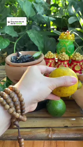 Trả lời @HUÂN TÂM AN Bếp xông thảo mộc tẩy uế xả xui giúp thư giãn ngủ ngon 🪷🪷🪷#phatphapnhiemmau #gieoduyenphatphap #phatphap #mayman #bepxongthaomoc  @HUÂN HOUSE  @HUÂN HOUSE  @HUÂN HOUSE 