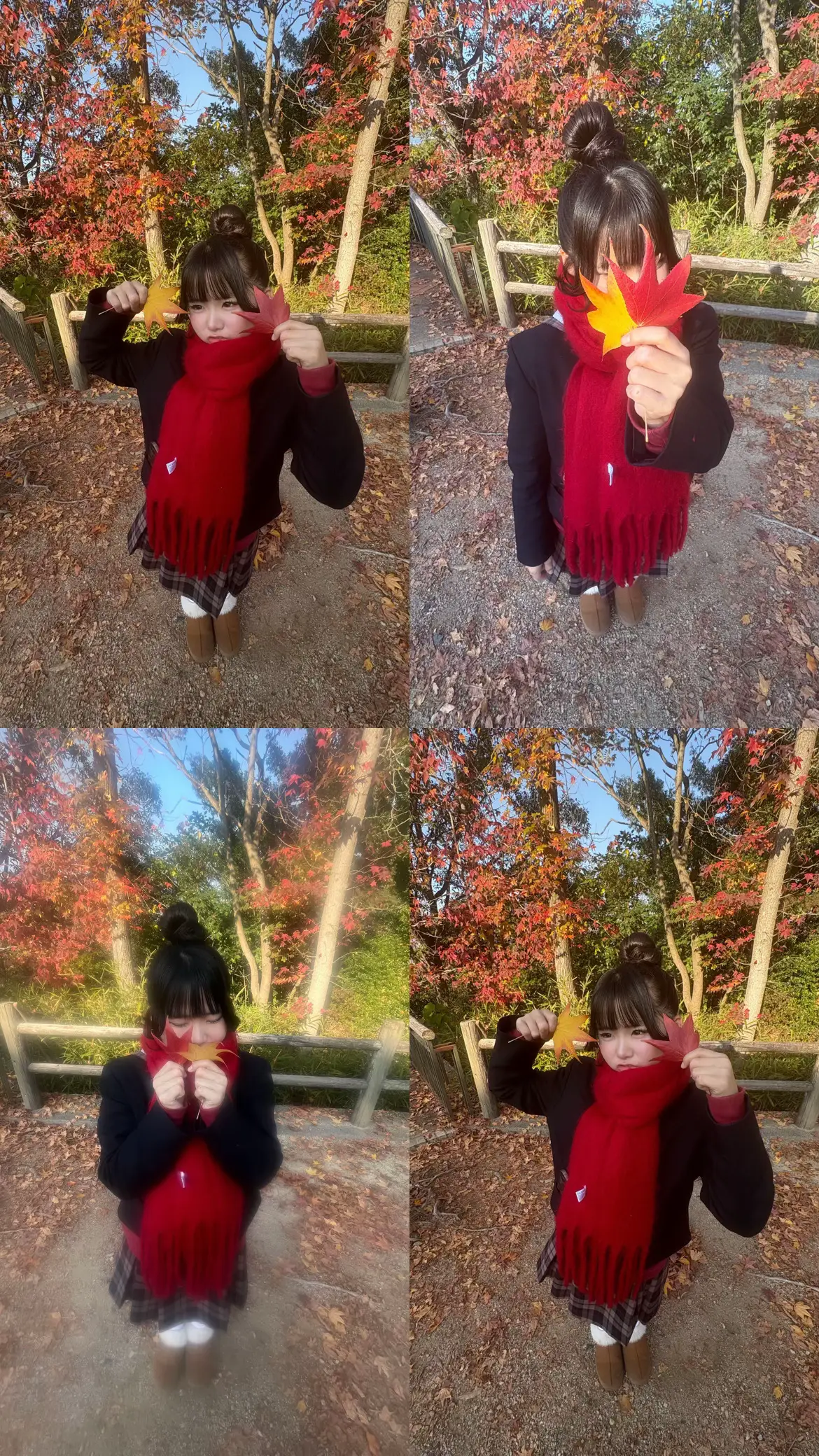 綺麗だった🍁✨️✨️#岡山 #おすすめ #jk #fyp 