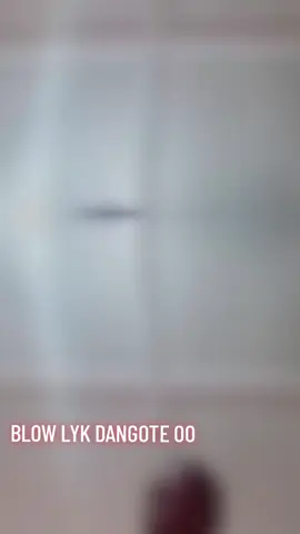 ONE DAY MAN GO BLOW BLOW LYK DANGOTE OOO @Humble_Lion  @lil carter💎  @🫧𝐏 𝐄 𝐑 𝐑 𝐘 🌟 