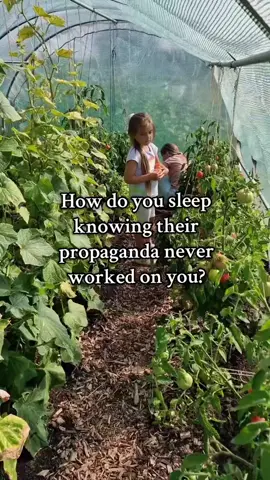 With a fluffy pillow in the fetal position 😜 #Canning #canningandpreserving #homesteading #homestead #selfsufficient