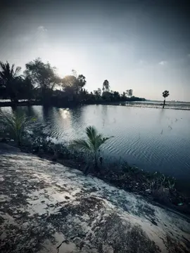 “ mà sao không thể chạm tới..!#nhactamtang#khanhphong 