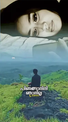 #albumsongsmalayalam #pravasimalayali #statusvideo #malayalamtiktok 