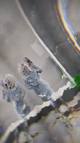 takdan betulkan baju berlipat kat dlm dh gelojoh nk bergambar