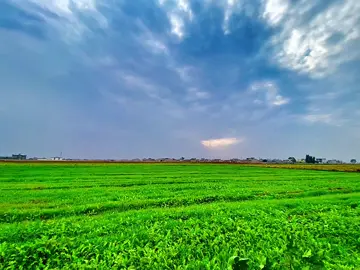 يبشيره😴#تصويري_احترافي_الاجواء👌🏻🕊😴 #تصويري📷 #اجواء_داقوق_الكليسه #سمير_صبيح 