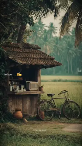 💞💞💞✨💫#reel #creatorsearchinsights #🥰 #💞💞💞 #shorts 