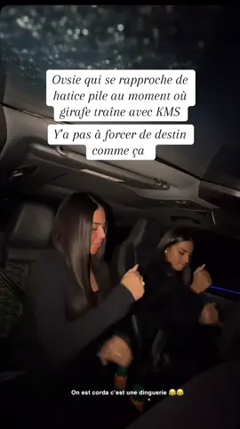 @OVSIE SPAM @O V S I E @Camélia ❤️ @ZÉRO VICE 🌼 @hatiiceee 