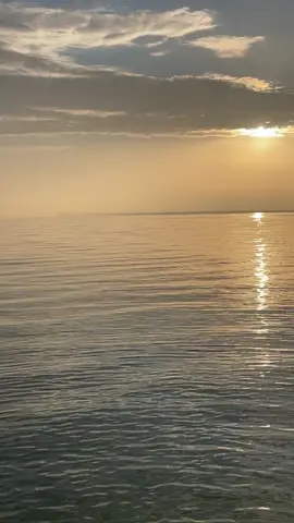 ###العراق🇮🇶 #الانبار #حديثة_مدينتي👑✌✌ 