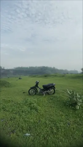 ijo royo royo🍃#fypシ゚viral #ranumanduro #kawasakikazer 