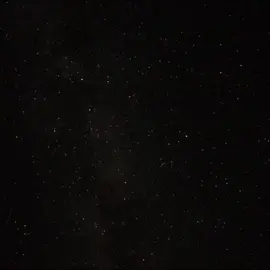 Best Fighters in UFC #islammakhachev #UFC #charlesoliveira #khabib_nurmagomedov #khamzatchimaev #dobronx #danawhite @REMBO_HIGHER 